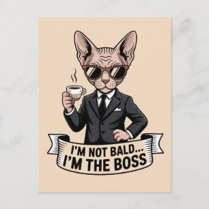 Boss Sphynx Cat Coffee Illustration Postcard