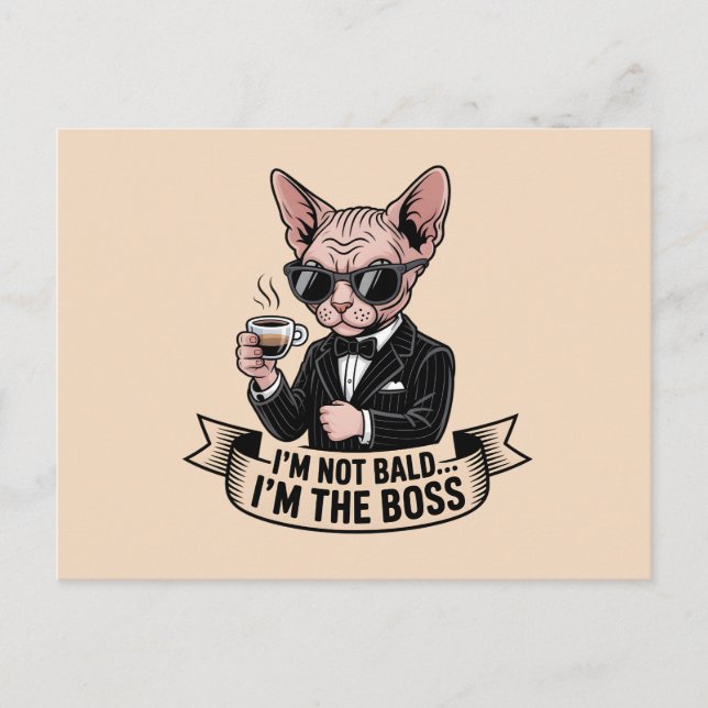 Boss Sphynx Cat Coffee Illustration Postcard (Front)