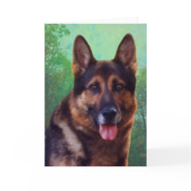 Boss the German Shepherd