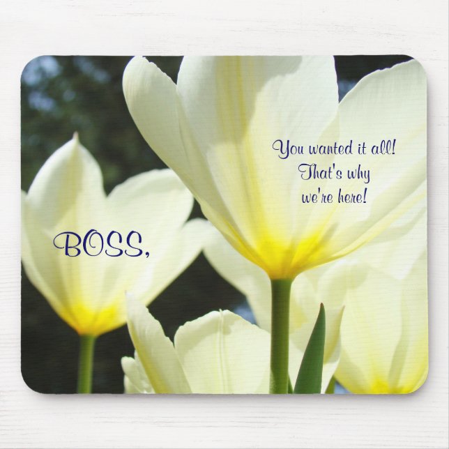 BOSS you wanted it all! That's why we're here! Mouse Pad (Front)