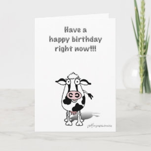 Bossie birthday cow! card