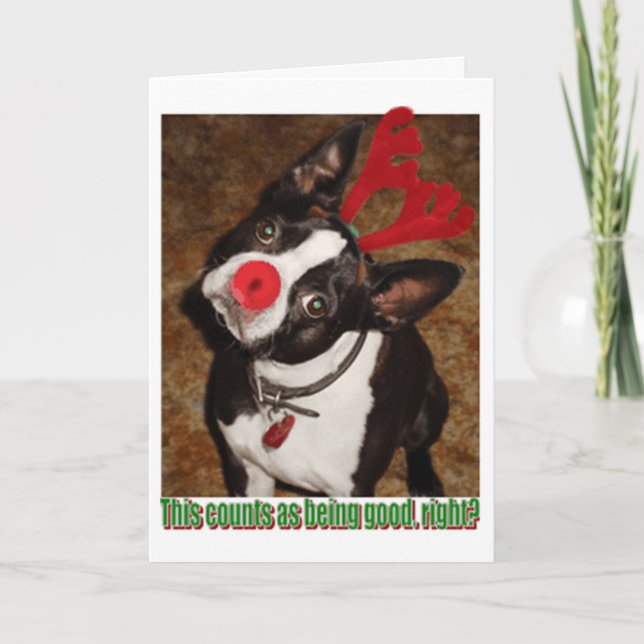 Boston1 Holiday Card (Front)