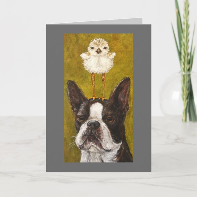 boston and plover card (Front)