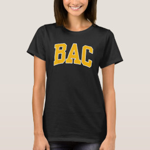 Boston Architectural College Arch 02 T-Shirt