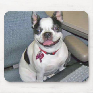 Boston at the Computer Mousepad