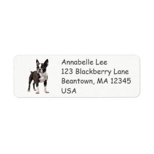 Boston Bull Terrier Return Address Label