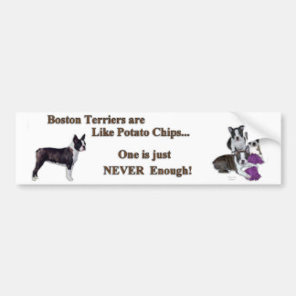 boston_bumpersticker1a bumper sticker