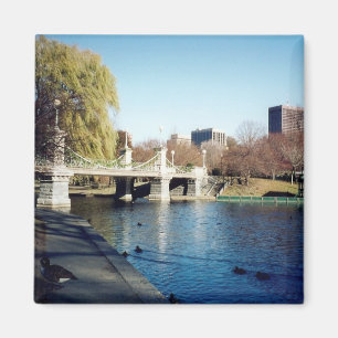 boston common magnet
