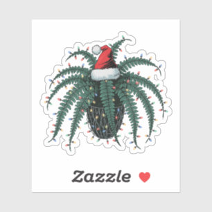 Boston Fern Plant Santa Hat Christmas Lights Plant