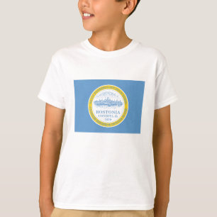 Boston Flag T-Shirt