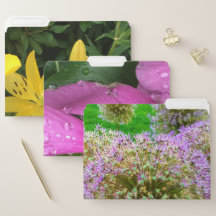 Boston Garden Yellow, Pink, and Purple Flower Set