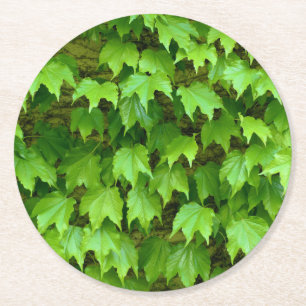Boston Ivy Round Paper Coaster