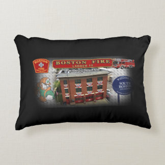 Boston Ladder 19 Decorative Cushion