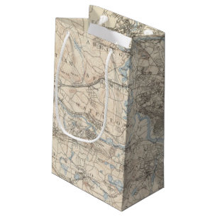 Boston, Massachusetts Small Gift Bag