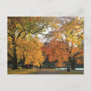 Boston Public Garden Autumn Postcard