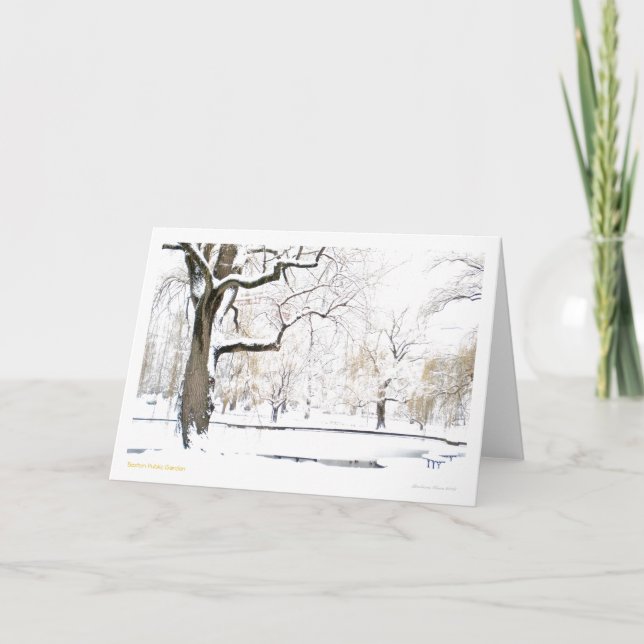 Boston Public Garden Holiday Card (Front)