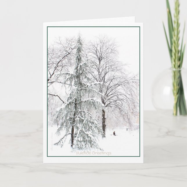 Boston Public Garden: Holiday Yuletide Card (Front)