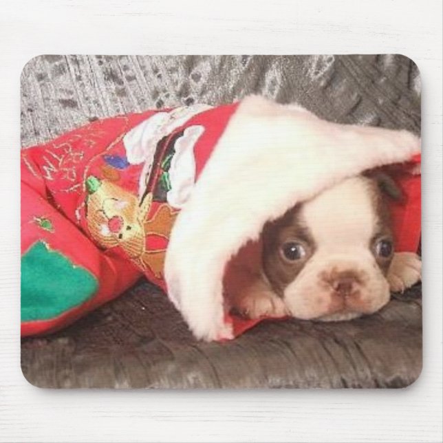 Boston Pup in Christmas Stocking Mouse Pad (Front)
