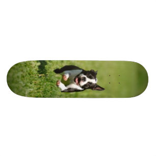 Boston Running Skateboard