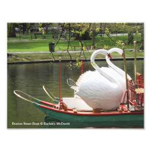 Boston Swan Boat Photo
