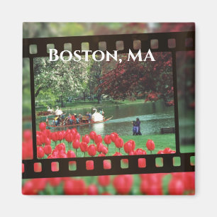 Boston Swan Boats Magnet