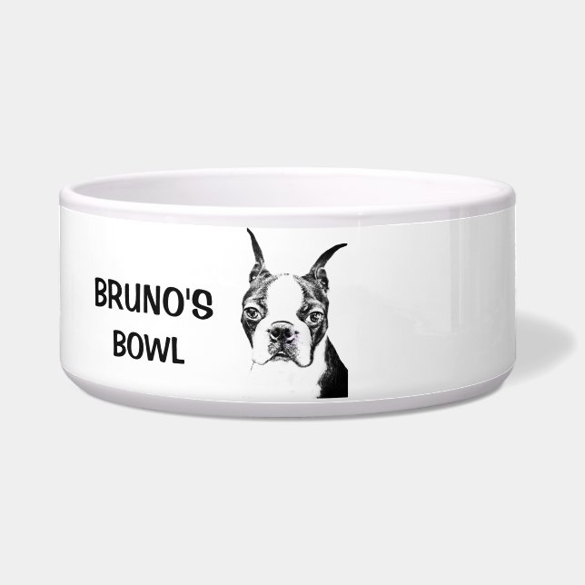 Boston Terrier (Front)