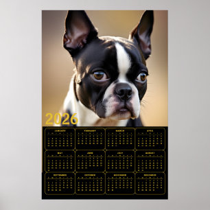 Boston Terrier 2026 Calendar  Poster