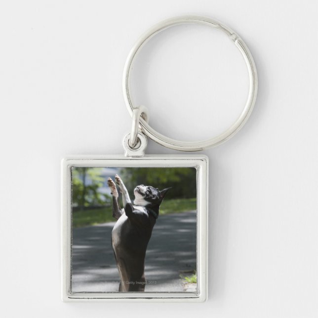 Boston Terrier 2 Key Ring (Front)