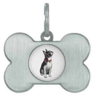 Boston Terrier (A) - looking up Pet Name Tag