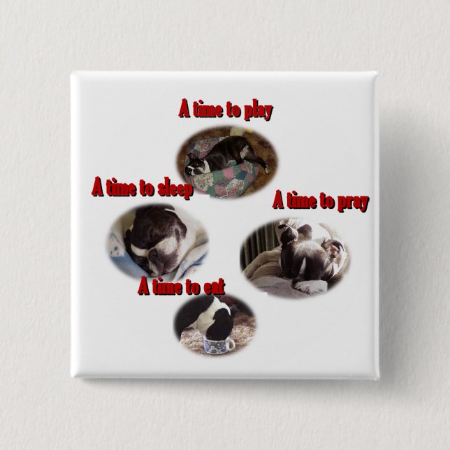 Boston Terrier:  A Time 15 Cm Square Badge (Front)