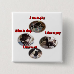 Boston Terrier: A Time 15 Cm Square Badge