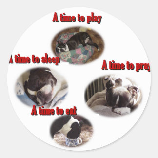 Boston Terrier: A Time Classic Round Sticker