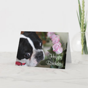 Boston terrier and flowers card