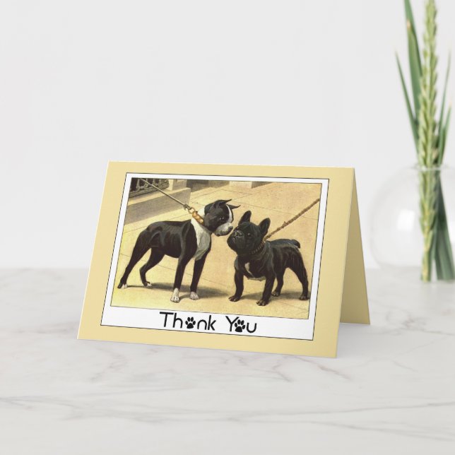 Boston Terrier and French Bulldog  Thank You Card (Front)