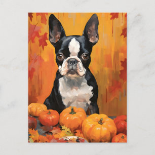 Boston Terrier Autumn Thanksgiving  Postcard