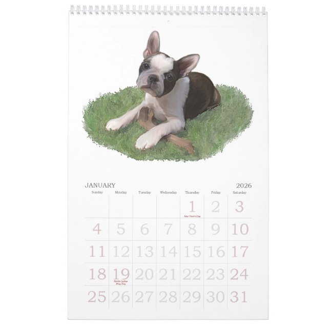 Boston Terrier Babies Calendar (Jan 2026)