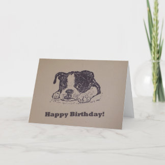 Boston Terrier Birthday Card