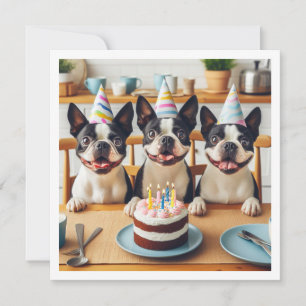 Boston Terrier birthday card, Boston terrier  Invitation