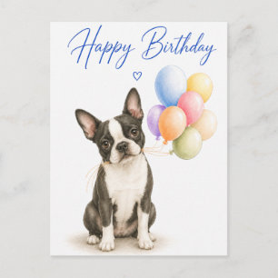 Boston Terrier Birthday Postcard