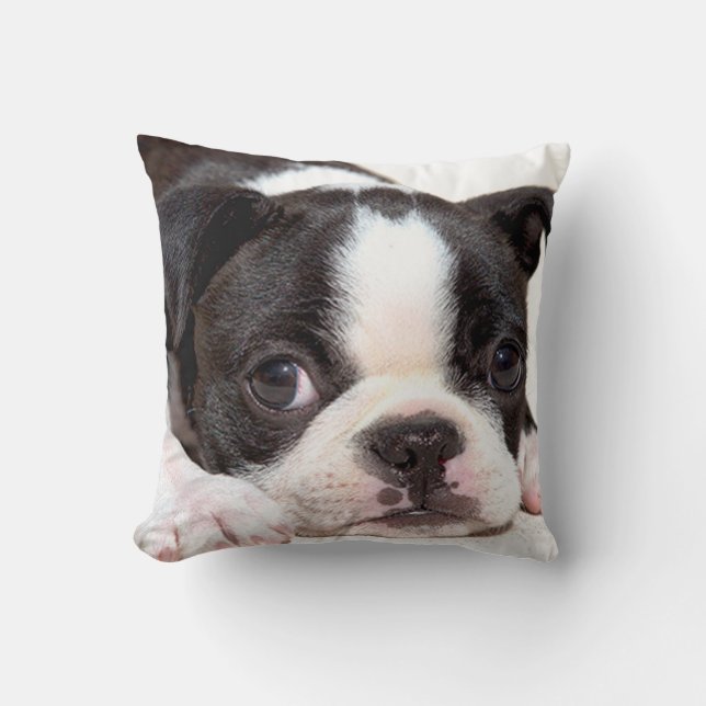 Boston Terrier Black and White Puppy Cushion (Front)