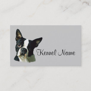 Boston Terrier Breeder Business Card
