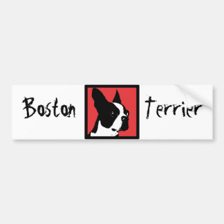 Boston Terrier Bumper Sticker