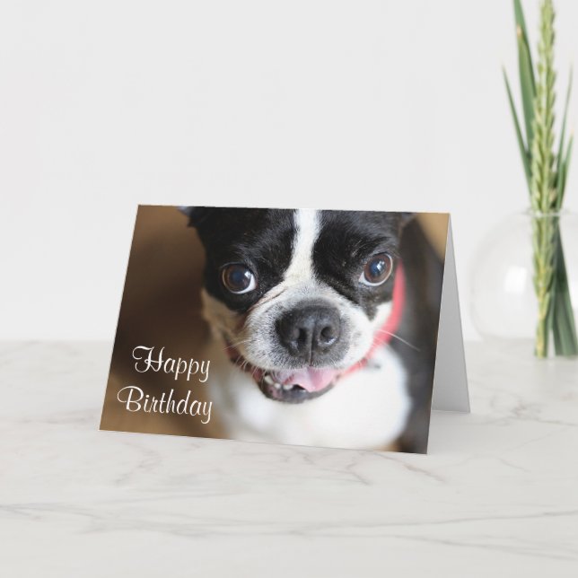 Boston Terrier Card (Front)