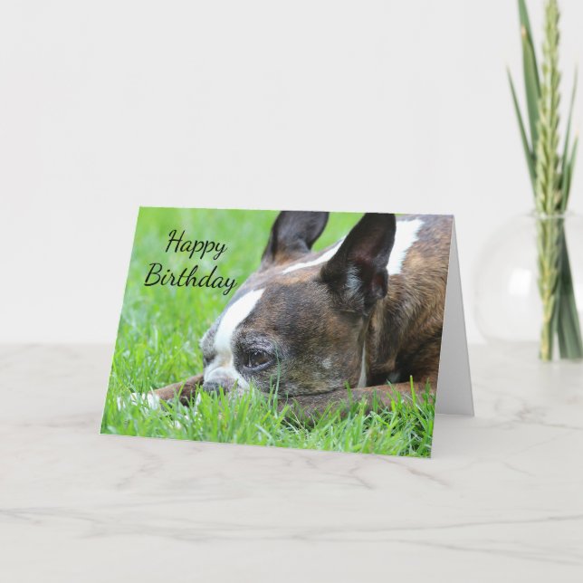 Boston Terrier Card (Front)