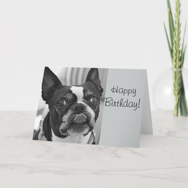 Boston terrier card (Front)