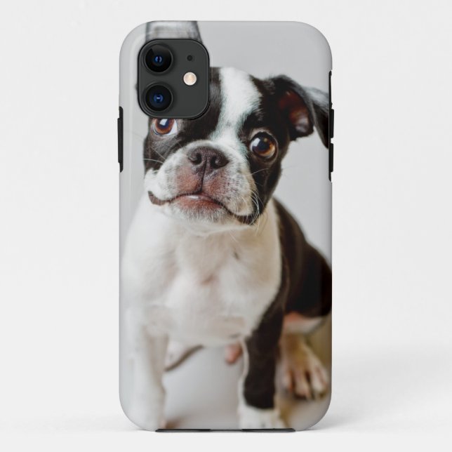 Boston Terrier Case-Mate iPhone Case (Back)