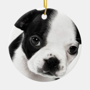 Boston Terrier Ceramic Ornament