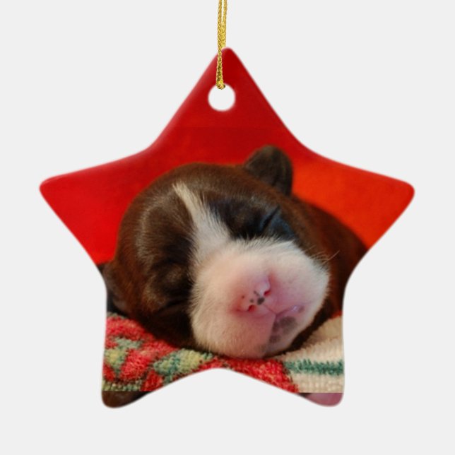Boston Terrier Ceramic Ornament (Front)