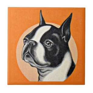 Boston terrier ceramic tile