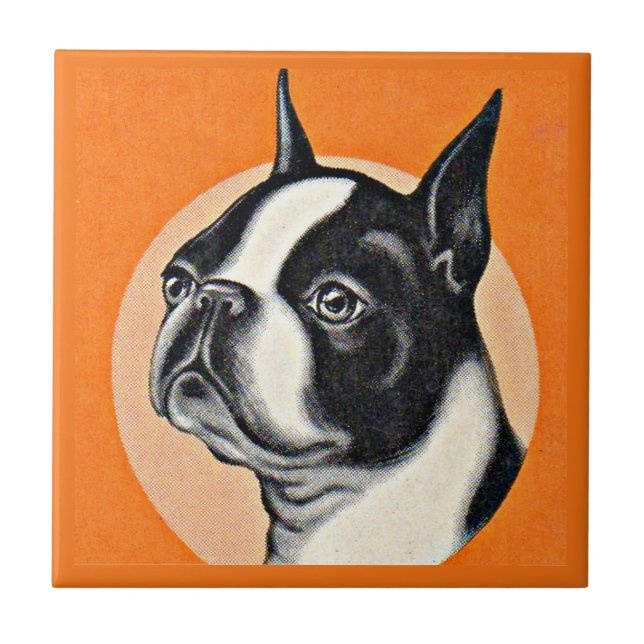Boston terrier ceramic tile (Front)